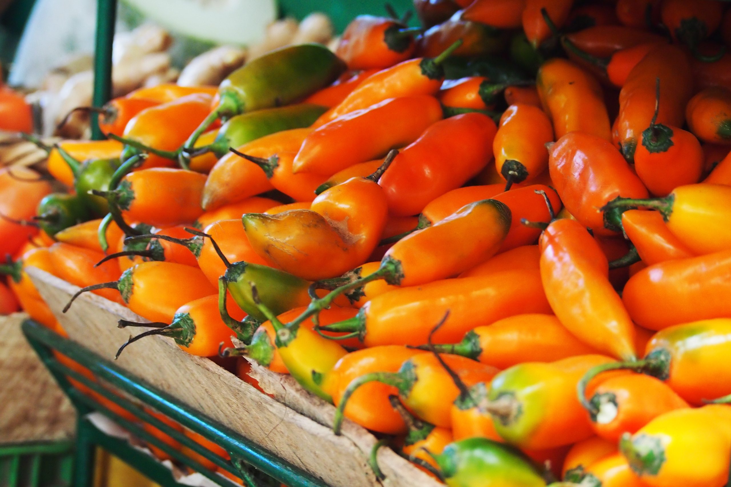 Aji amarillo